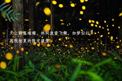 26届萤火虫星之迟迟,璀璨星空下的青春盛宴