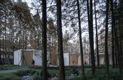 影私荟舒林培第三种线条：水杉林中的上海田林公园林隐轩 ​ 朱宇晖 张茗萩 郑晓義 黄怡群 时代建筑2024年第4期
